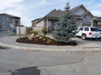 Joy Thomson front, after