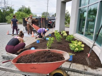 MCON planting and mulching